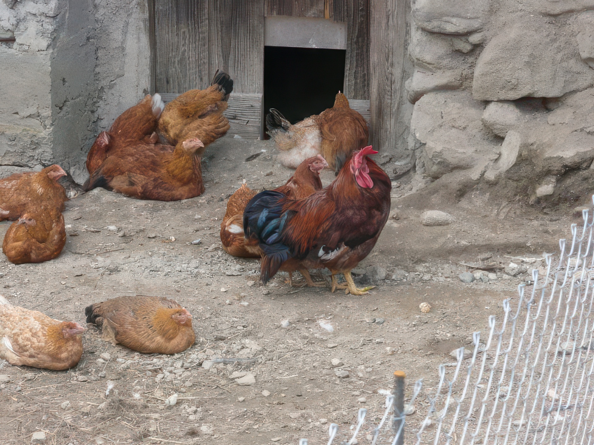 azienda agricola trentino